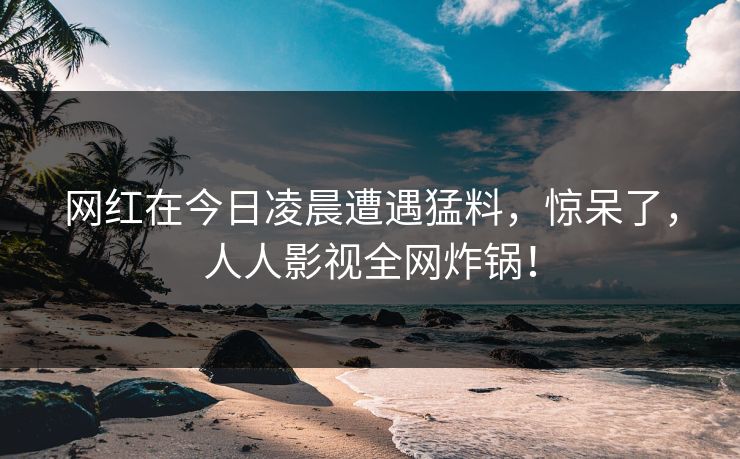 网红在今日凌晨遭遇猛料，惊呆了，人人影视全网炸锅！