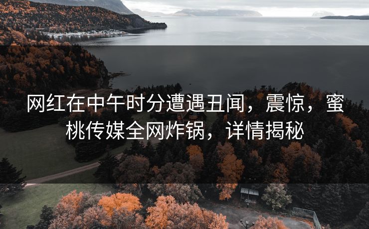 网红在中午时分遭遇丑闻，震惊，蜜桃传媒全网炸锅，详情揭秘
