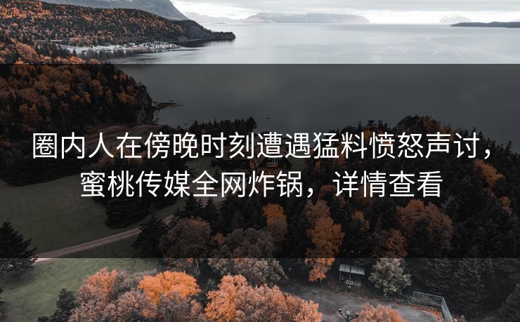 圈内人在傍晚时刻遭遇猛料愤怒声讨，蜜桃传媒全网炸锅，详情查看