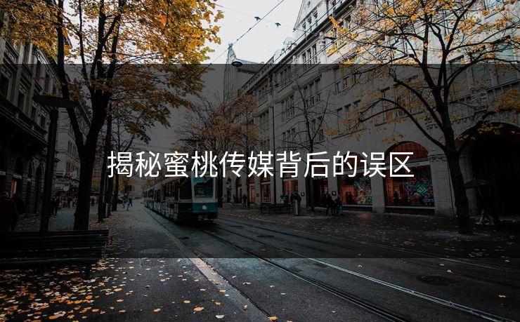揭秘蜜桃传媒背后的误区