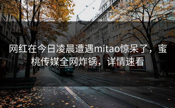 网红在今日凌晨遭遇mitao惊呆了，蜜桃传媒全网炸锅，详情速看