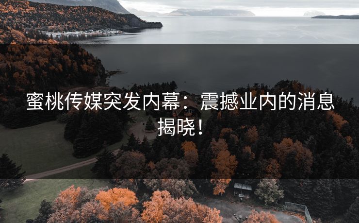 蜜桃传媒突发内幕：震撼业内的消息揭晓！