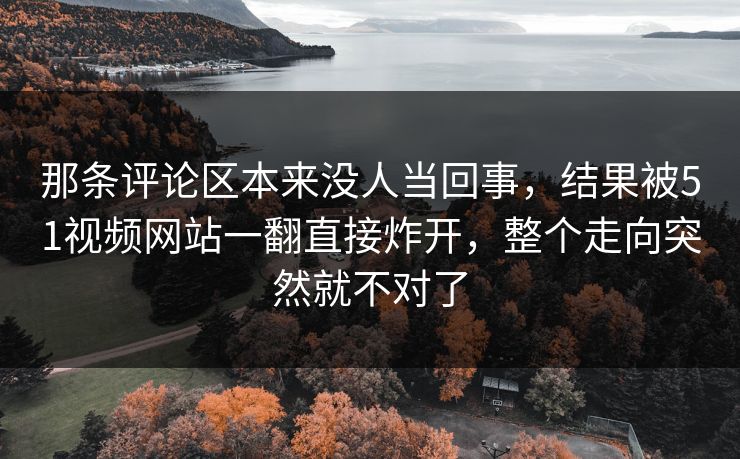 那条评论区本来没人当回事，结果被51视频网站一翻直接炸开，整个走向突然就不对了
